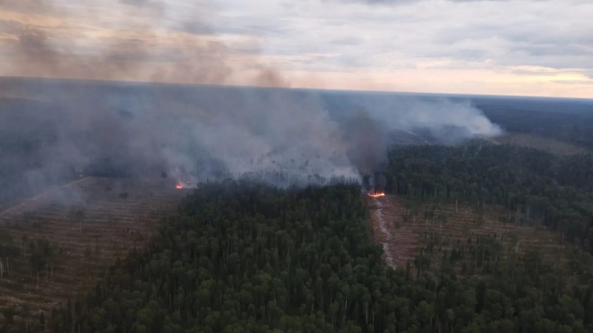 Лесные пожары красноярск. Лесные пожары Красноярский край 2023. Пожар в лесу. Лес Красноярского края. Леса Красноярского края.