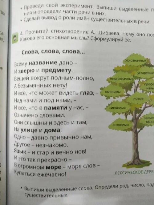 Прочти стихотворение определи существительные. Стихотворение Шибаева. Прочитай стихотворение. Стихотворение Шибаева слова слова слова. Прочитай стихотворение а Шибаева слова слова слова.