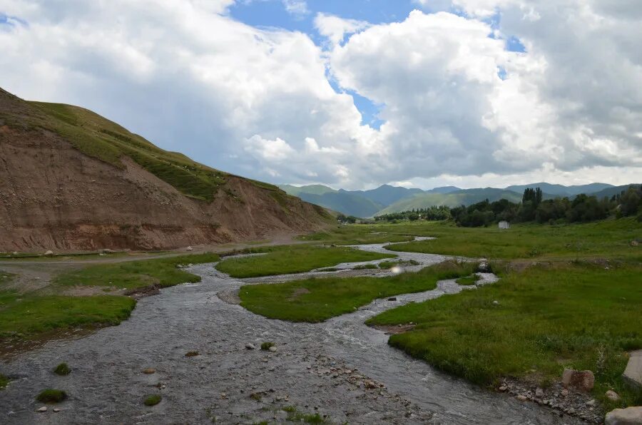 Семиреченская алатау. Семиречье. Горы казахстана семиречье. Казахстан семиречье село михайловка. Семиречье.