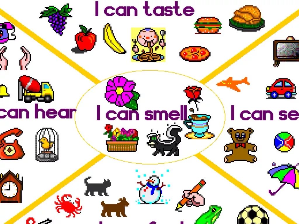 You can see more. Постер taste smell feel. картинки для описания i can see. what can you smell. see hear smell taste touch.