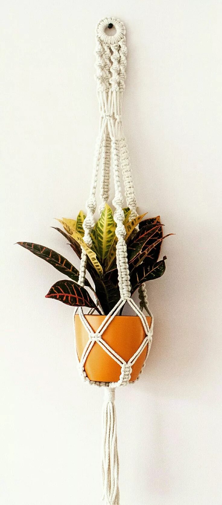 Плетеные кашпо для цветов макраме. Цветочное кашпо макраме. Кашпо макраме видео. Макраме подвес для цветов мк. Кашпо макраме мк.