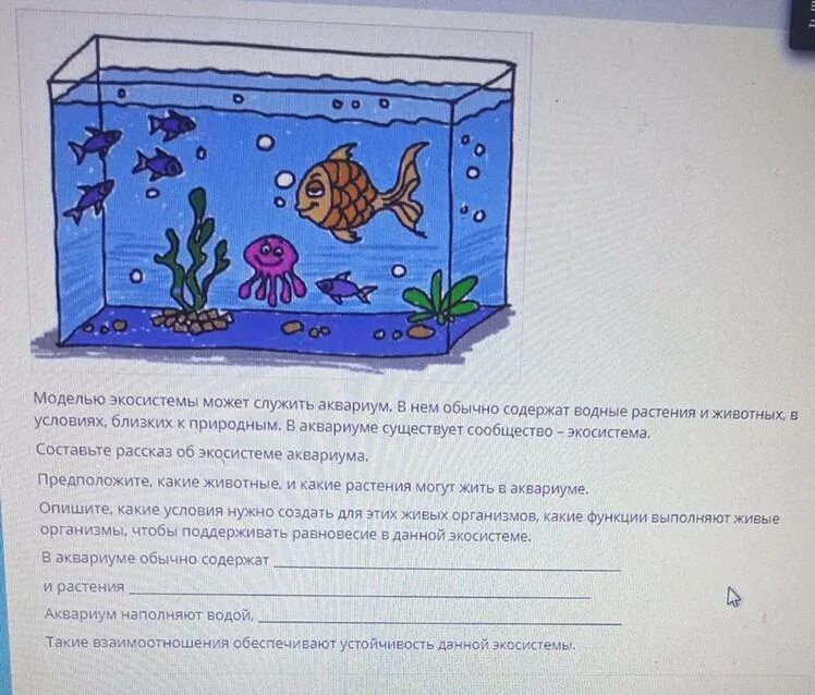 Моделью экосистемы может служить аквариум.. Аквариум модель экосистемы. Макет экосистемы. Экосистема в аквариуме с растениями.