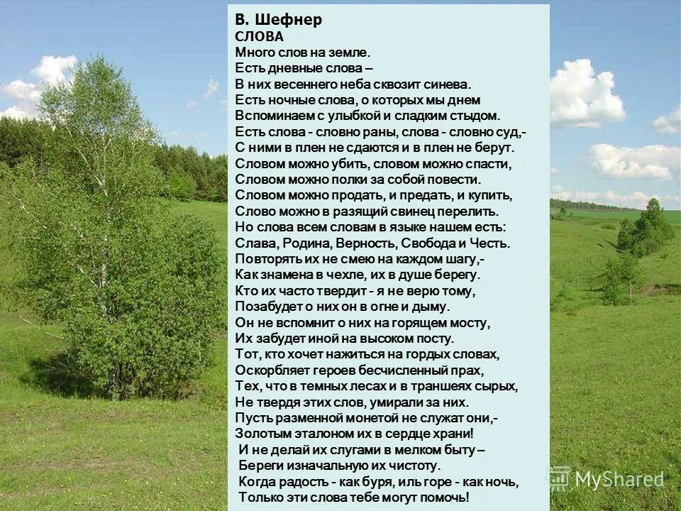 Крупный фото текст. Шефнер слова. Шефнер слова стихотворение. Стих много слов на земле. Много слов на земле есть дневные.