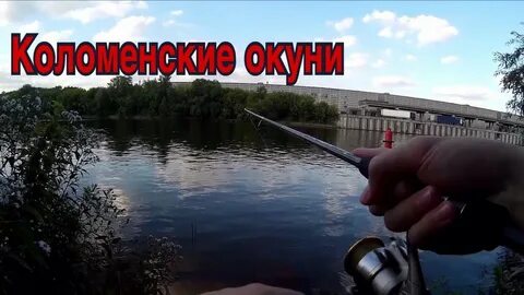 Коломенское рыбалка