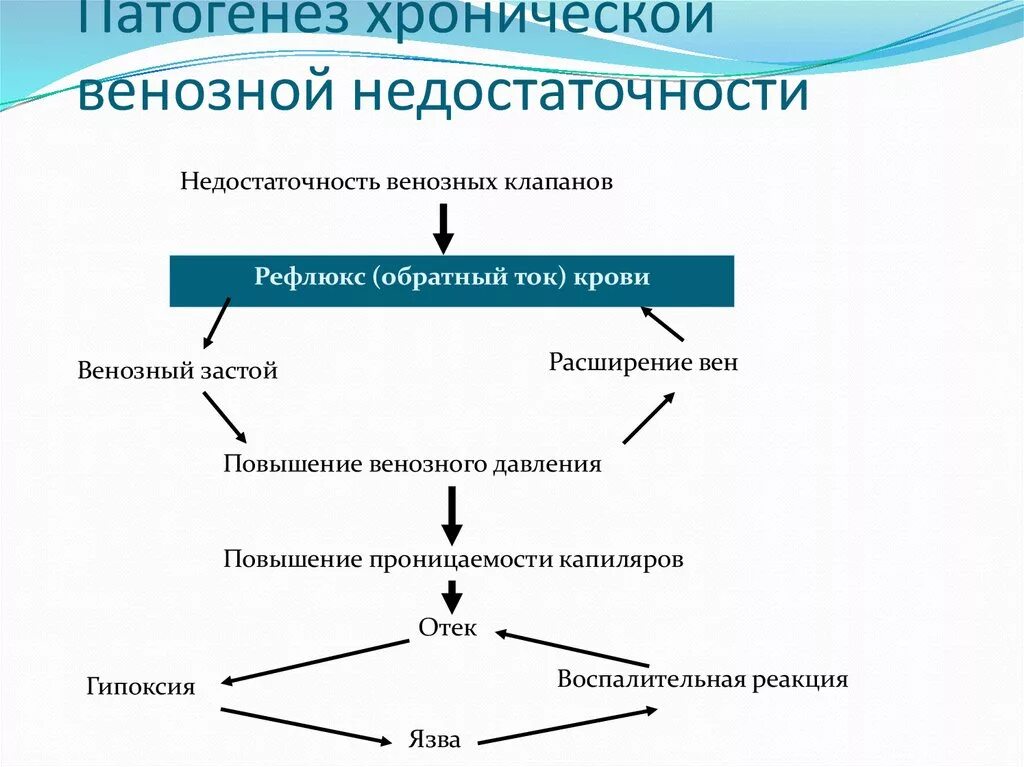 Патогенез и клиническая картина. Патогенез венозной недостаточности. Острая венозная недостаточность этиология. Синдром хронической венозной недостаточности патофизиология. Хроническая венозная недостаточность нижних конечностей этиология.