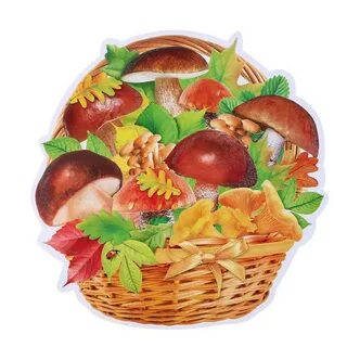 Корзинка с грибами картинки для детей