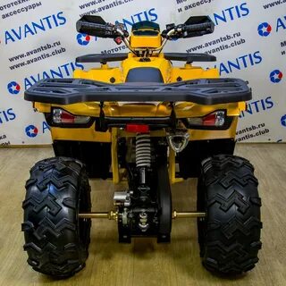 Avantis 200 big lux