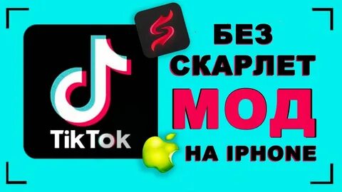 Тик ток мод 33.9 1