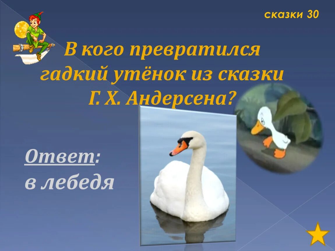 В кого превратился Гадкий утенок. В Коко привитился гатки утенок. Презентация Гадкий утенок. Гадкий утенок превратился в лебедя.