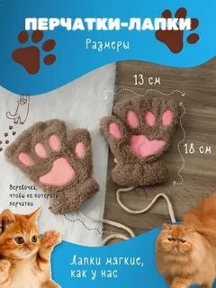 Кошачьи лапки магазин