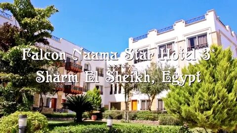 Falcon naama star