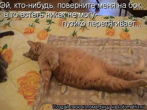 коты просыпаются. утро проспал. иду на работу. врагу не сдаётся наш. пора вставать.