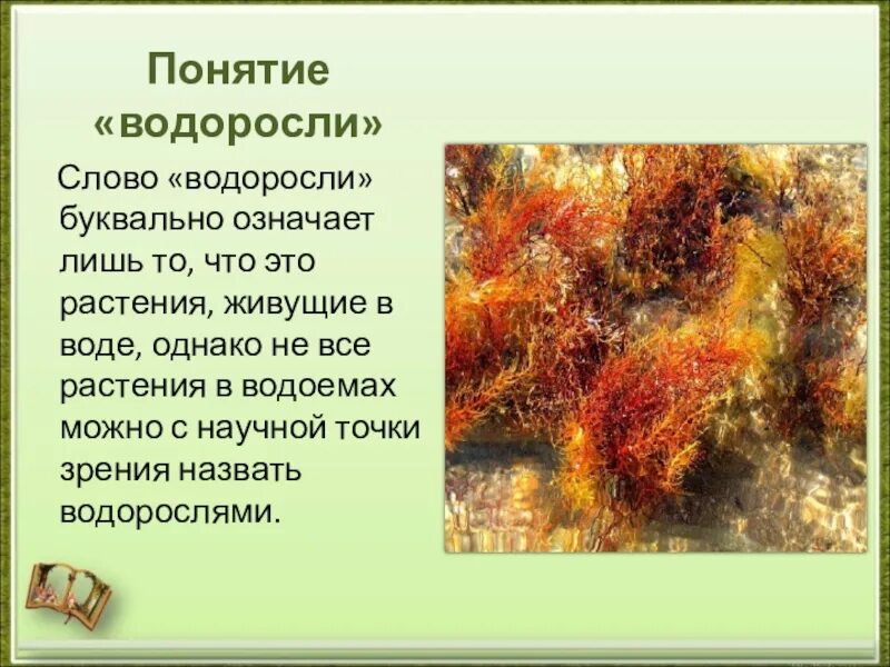 Корне слова водоросли. Загадки на тему водоросли. Загадки про водоросли. Водоросли 5 класс. Сказка про водоросли.