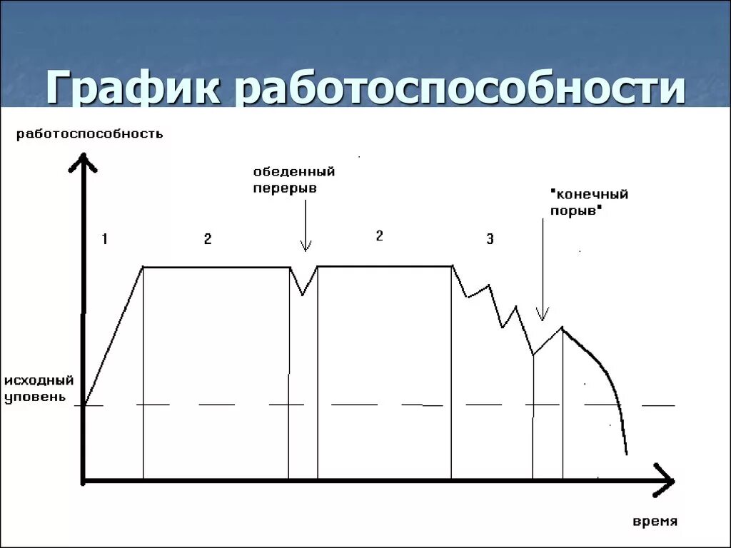 Кривая работоспособности график. Графикраьотоспособности. График недельной работоспособности. График работоспособности в течение суток. Уровень активности и работоспособности