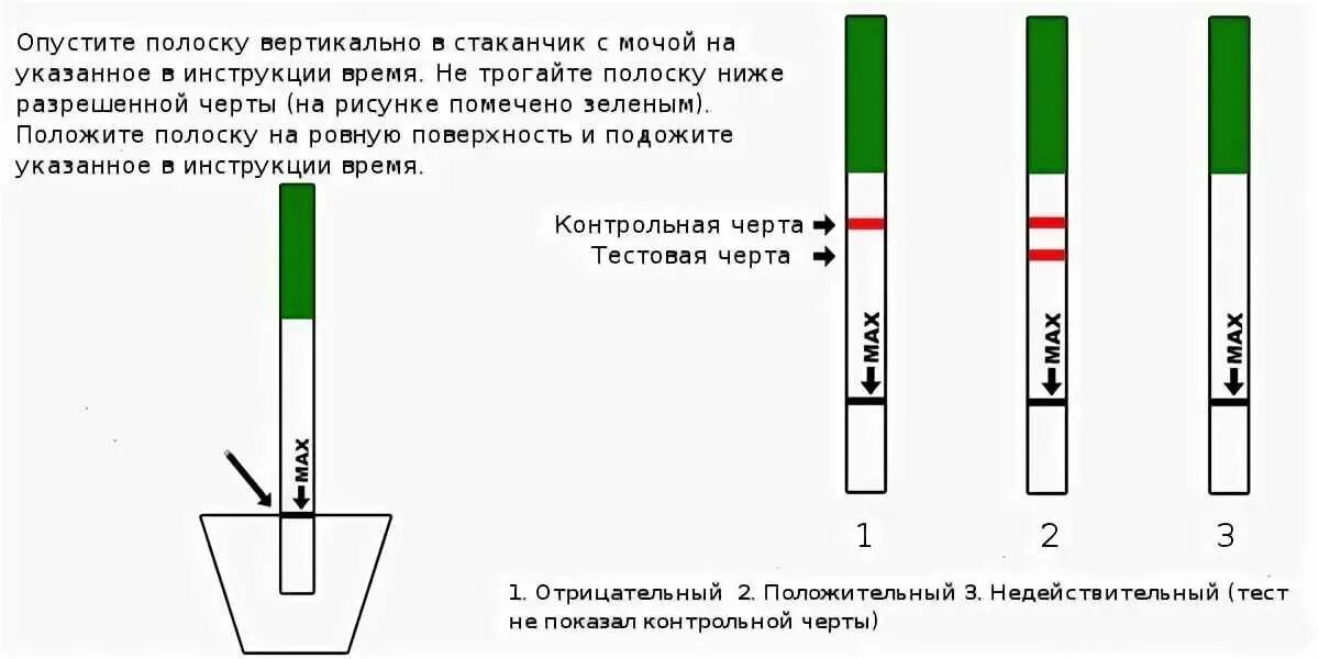 Насколько положительно. Как пользоваться тестом для беременных. Тест на беременность как определить. Как делать тест на беременность. Как правильно проверить тест на беременность.