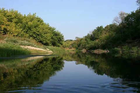 Реки красного села