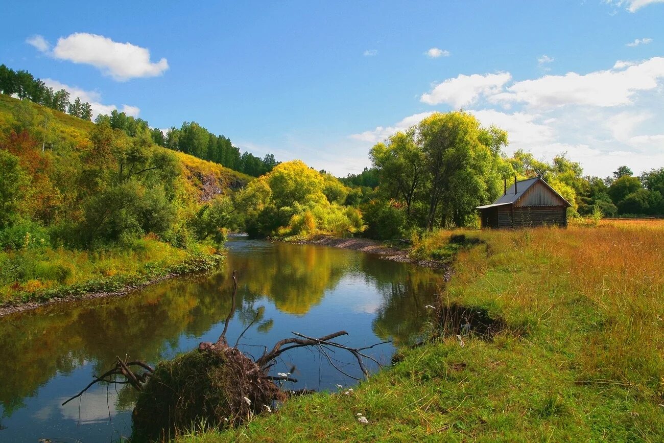 Река река дома цены. Река банька в Красногорске. Река банька Сабурово. Река Вышний Пенская деревушка. Река банька Красногорск летом.