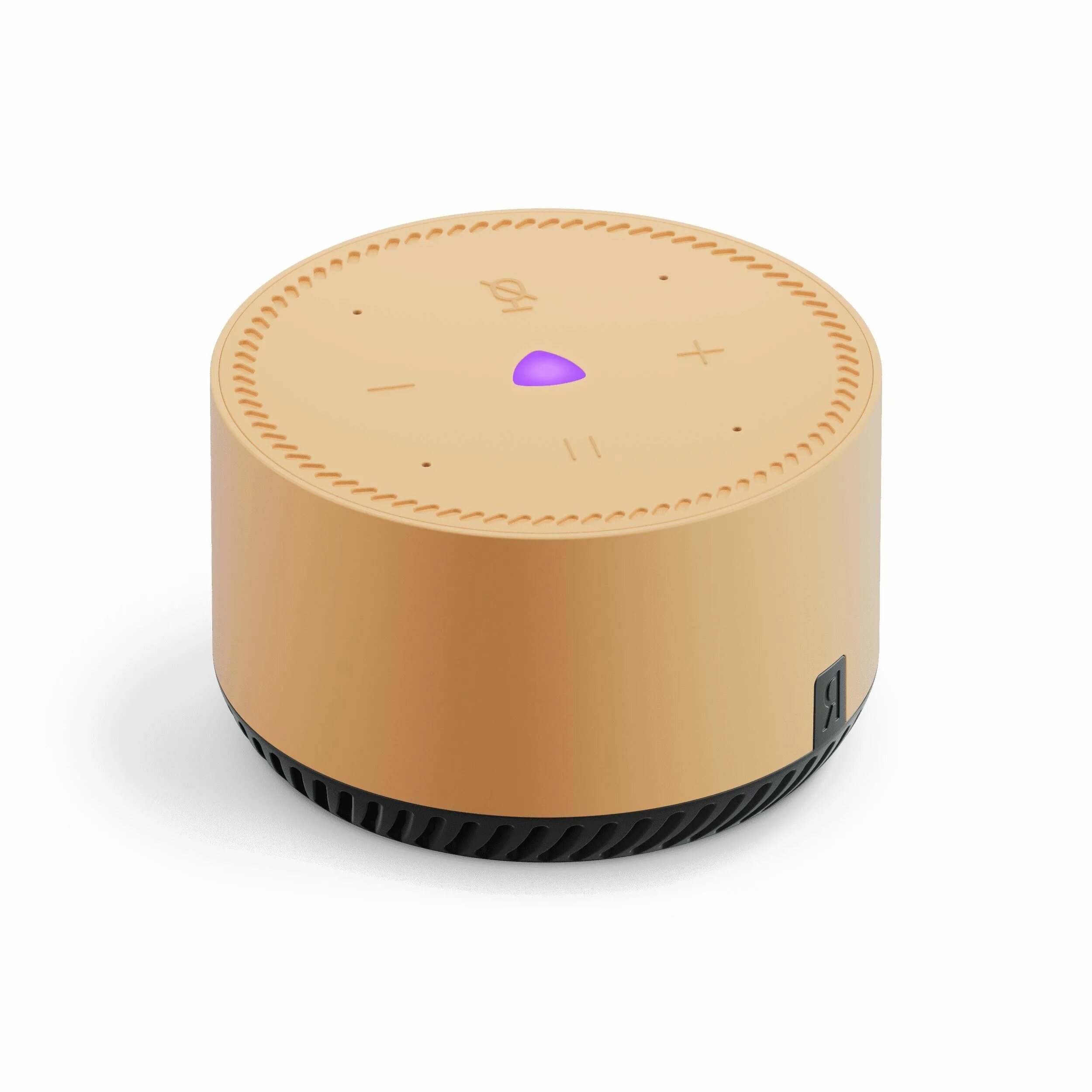 Умная колонка Яндекс Станция Лайт Purple (YNDX-00025P) - купить по доступным цен
