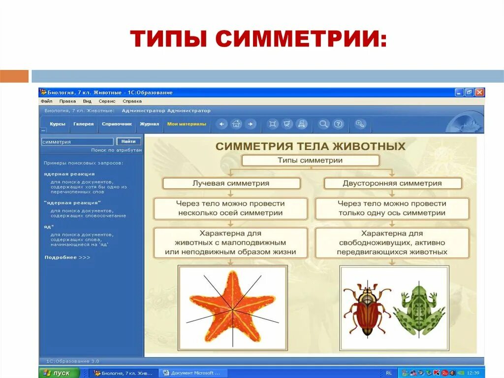 Типы симметрии животных 8 класс