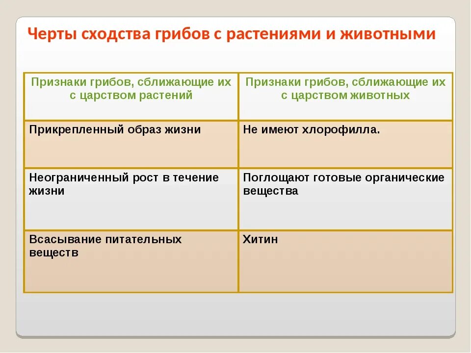 Выберите особенности отличающие. Черты сходства грибов с растениями и животными 5 класс таблица. Различия грибов с растениями и животными таблица. Заполнить таблицу "признаки сходства грибов с растениями и животными". Сходство грибов с растениями и животными таблица 9 класс.