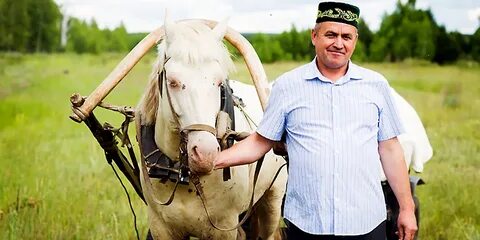Фермер лошадь