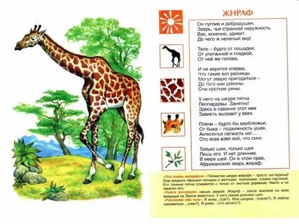 Чтение стихотворения жираф