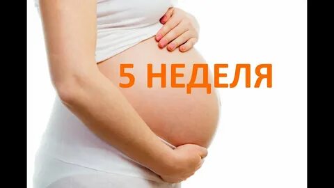 Состояние первые недели беременности