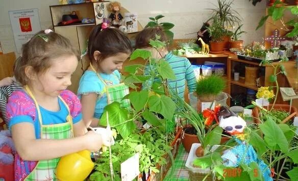 Экологическое воспитание. Экологические для дошкольников. Экологическое воспитание дошкольников. Экологическое воспитание в детском саду.