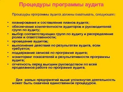 Программа аудита является
