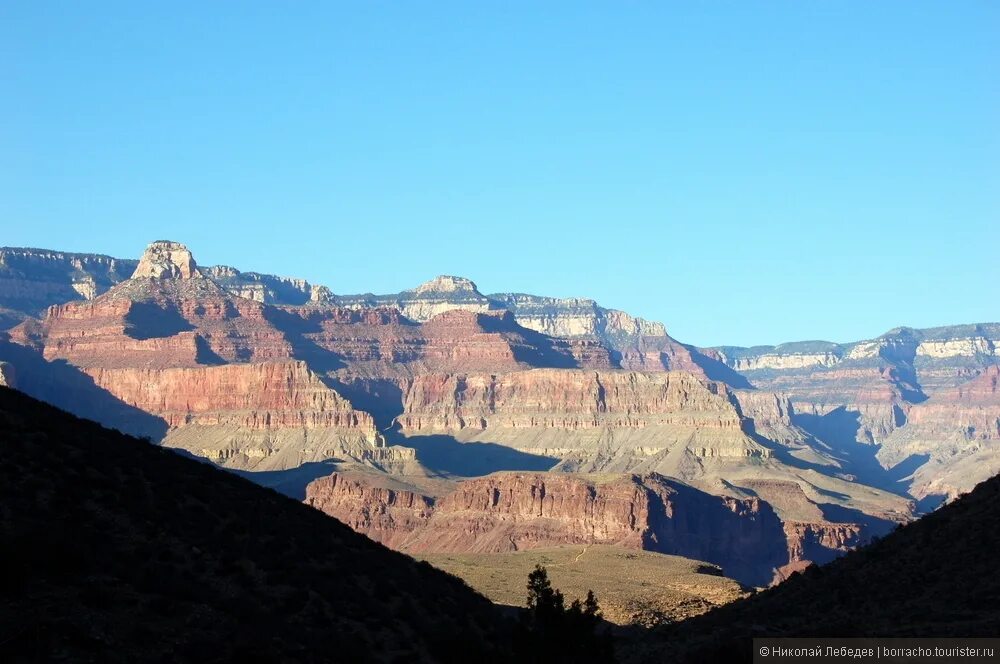 Canyon life