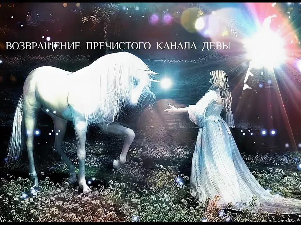 Рыцари пречистой девы