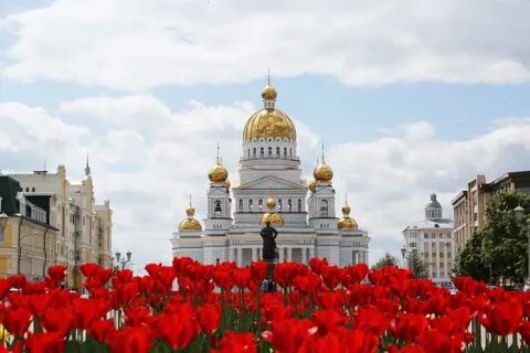 Саранск санкт петербург прямой