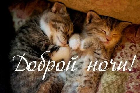 Спокойно 2 ночи