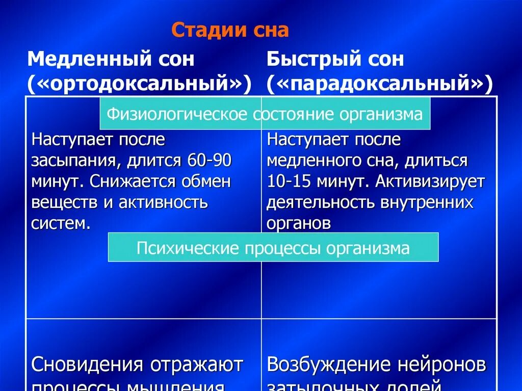 Чем характеризуется состояние организма при быстром сне