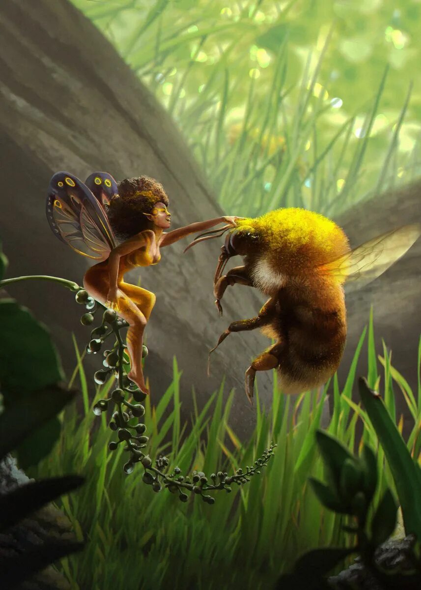 Феи существа. Пчела фэнтези. Волшебные существа феи. Африканская Фея. Фея пчела.
