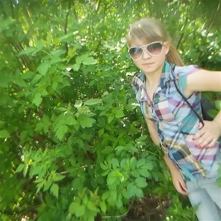 Т ю больбот. Т ю больбот