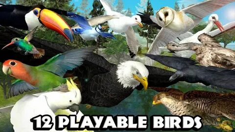 Игры большие птицы