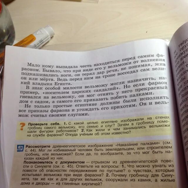 История россии стр 46 вопросы. Документ из отрывка древнеегипетской повести о Синухете. История познакомьтесь с документом 5 класс. Помогите ответить на вопрос. Познакомьтесь с документом отрывком из древнеегипетской повести.