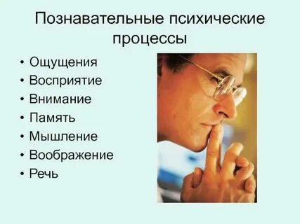 Общее восприятие это