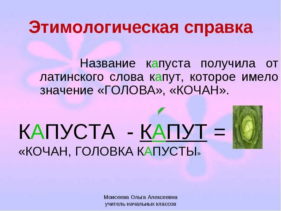 Этимологическая справка слова. Капуста словарное слово. Этимология слова капуста. Происхождение слова капуста.