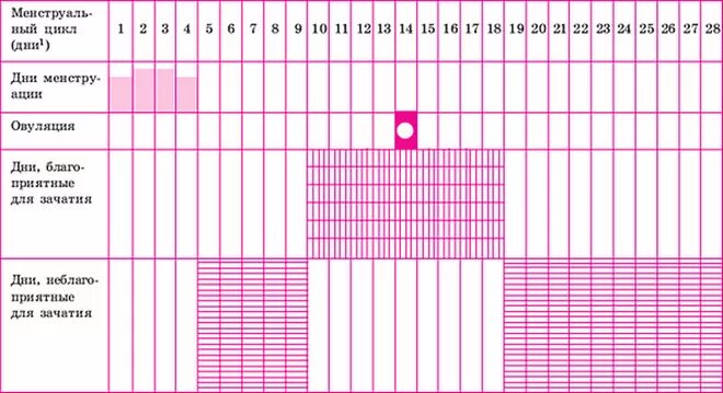 Овуляция на какой день можно забеременеть. Календарь овуляции. Безопасные для зачатия дни цикла. Менструальный календарь. Месячные цикл безопасные дни.