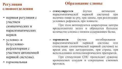 Нервное слюноотделение