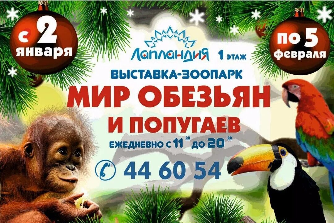 Выставка зоопарк животных. Выставка зоопарк. экспозиции зоопарка. мир обезьян и попугаев. контактный зоопарк выставка.
