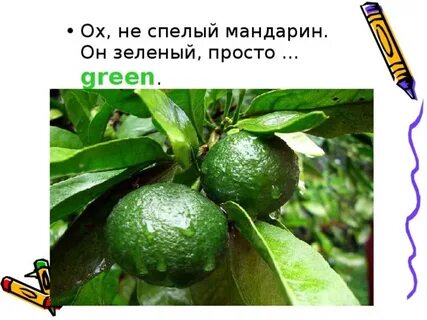 Не просто быть зеленым