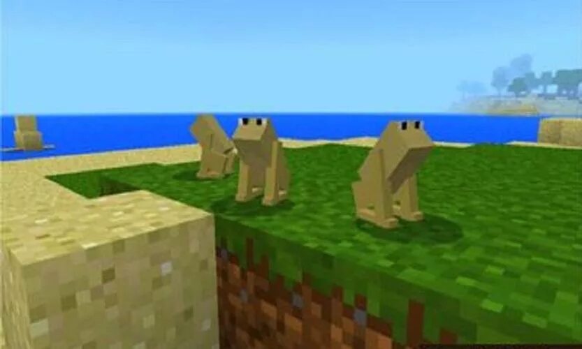 The man from the frog minecraft. Minecraft frog. мод майнкрафт frog. toad frog minecraft. мод на майнкрафт frogs 1.16..