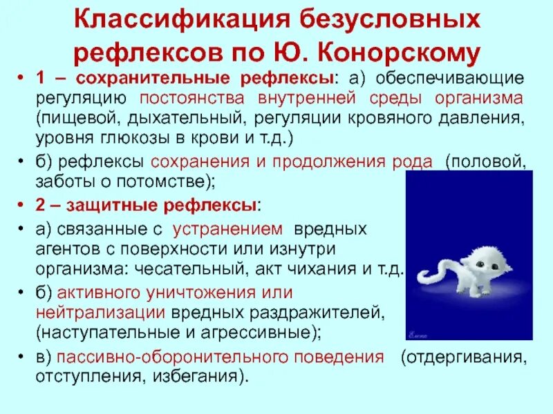 Формы поведения безусловный рефлекс. Классификация Павлова безусловных рефлексов. Безусловные рефлексы по Конорскому. Рефлекс классификация рефлексов. Классификация безусловных рефлексов физиология.