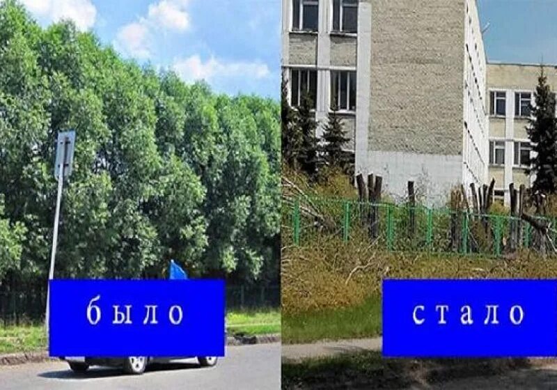 Поселок светлый омская область. Поселок светлый омская область