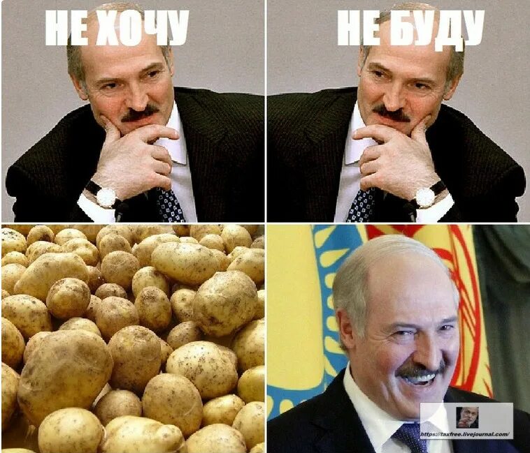 Лукашенко приколы. Батька лукашенко мем. Лукашенко король. Лукашенко смешной. Прикол про лукашенко видео.