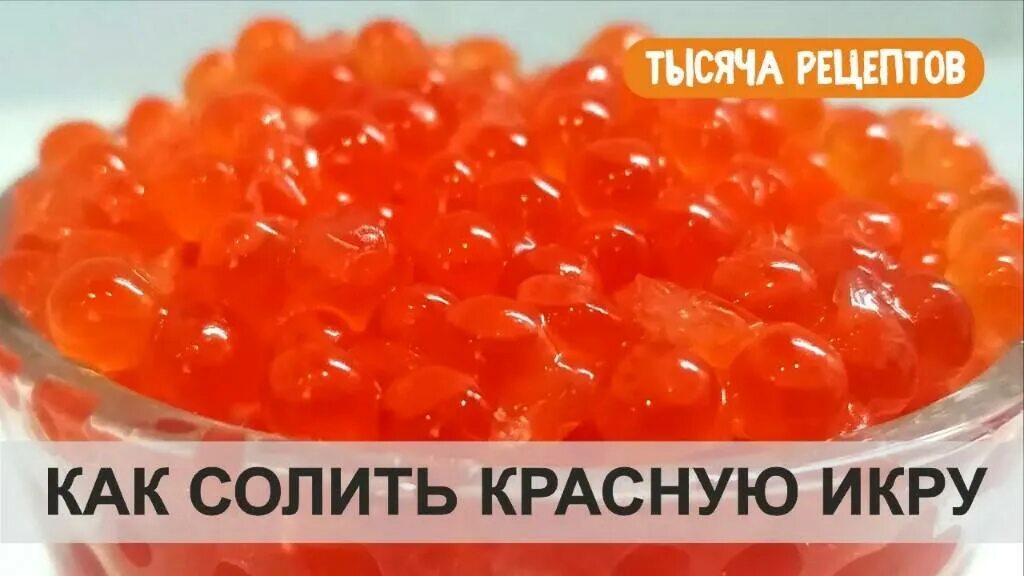 Соленая красная икра что делать. Рецепт посола икры тайменя. Тузлук для засолки икры рецепт. Соленая красная икра что делать. Икра горбуши слабосоленая.