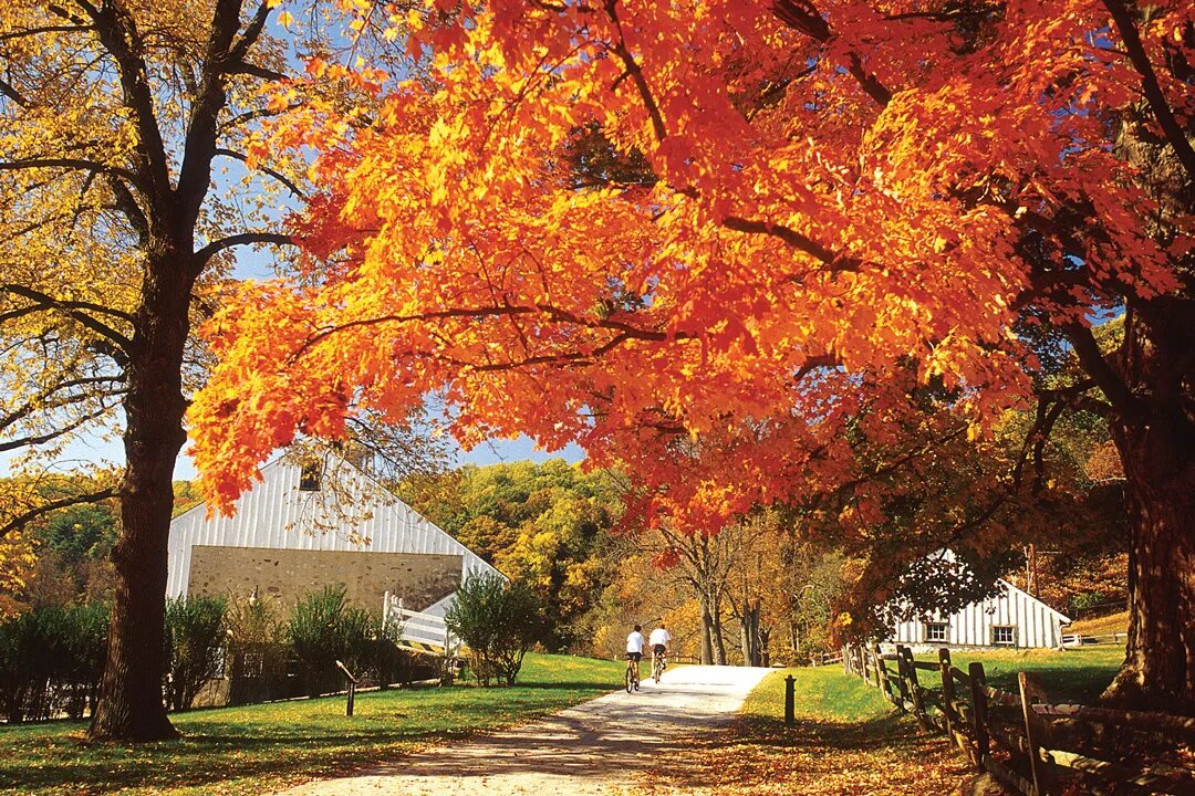 лето переходящее в осень. осенью двухтысячного года. пушгоры осень. природа осень. осенний пейзаж фотоконкурс.